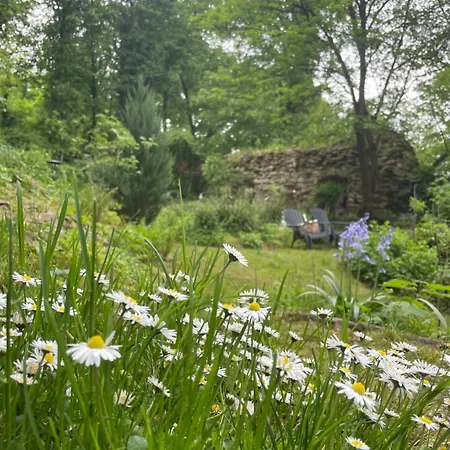 2 Kleine Altstadt-ferienwohnungen Mit Garten & Herz باد كروزناش