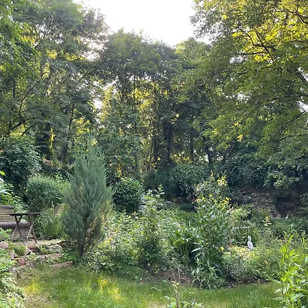 2 Kleine Altstadt-ferienwohnungen Mit Garten & Herz Apartment *