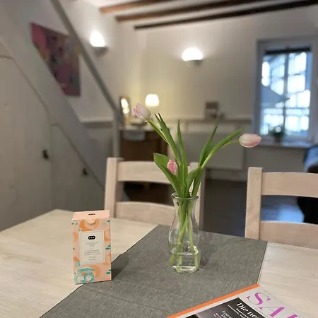 2 Kleine Altstadt-ferienwohnungen Mit Garten & Herz