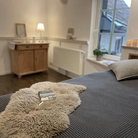 2 Kleine Altstadt-ferienwohnungen Mit Garten & Herz * Bad Kreuznach