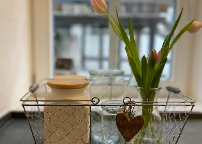 2 Kleine Altstadt-ferienwohnungen Mit Garten & Herz 公寓 *