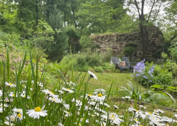 2 Kleine Altstadt-ferienwohnungen Mit Garten & Herz 巴特克罗伊茨纳赫