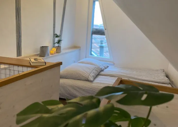 2 Kleine Altstadt-ferienwohnungen Mit Garten & Herz * Bad Kreuznach